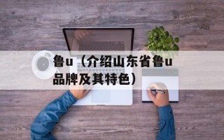 鲁u（介绍山东省鲁u品牌及其特色）