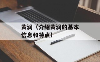 黄润（介绍黄润的基本信息和特点）