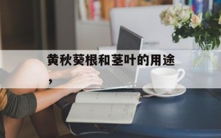 黄秋葵根和茎叶的用途，