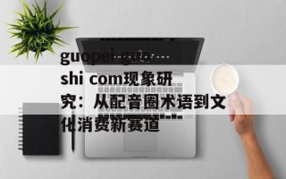 guopei guoshi com现象研究：从配音圈术语到文化消费新赛道