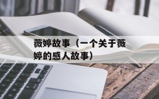 薇婷故事（一个关于薇婷的感人故事）