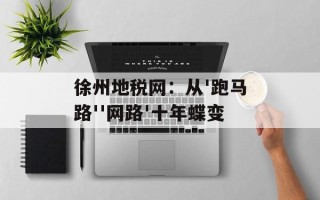 徐州地税网：从'跑马路''网路'十年蝶变