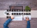 龙利鱼和巴沙鱼的区别图，龙利鱼和巴沙鱼的图片