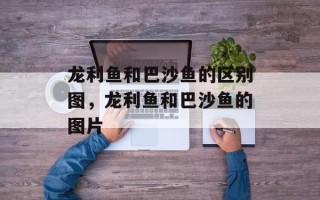 龙利鱼和巴沙鱼的区别图，龙利鱼和巴沙鱼的图片