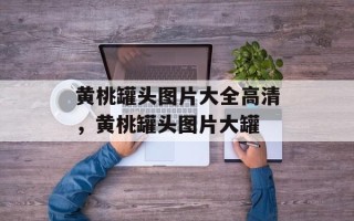 黄桃罐头图片大全高清，黄桃罐头图片大罐