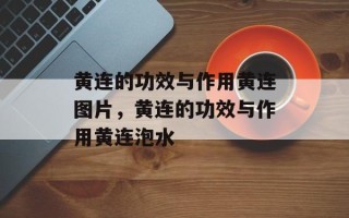 黄连的功效与作用黄连图片，黄连的功效与作用黄连泡水