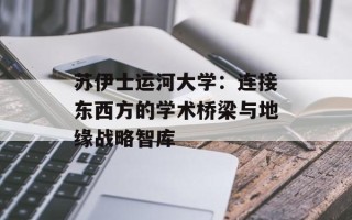 苏伊士运河大学：连接东西方的学术桥梁与地缘战略智库