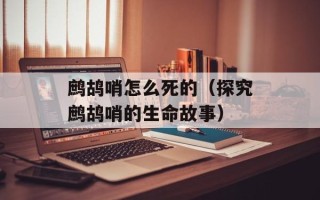 鹧鸪哨怎么死的（探究鹧鸪哨的生命故事）