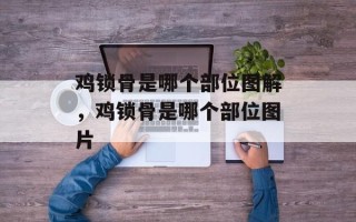 鸡锁骨是哪个部位图解，鸡锁骨是哪个部位图片