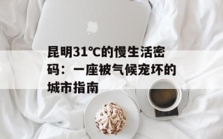 昆明31℃的慢生活密码：一座被气候宠坏的城市指南
