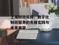 上海财政局网：数字化财政服务的先锋实践与未来展望