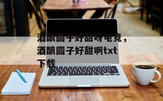酒酿圆子好甜呀电竞，酒酿圆子好甜啊txt下载