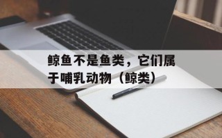 鲸鱼不是鱼类，它们属于哺乳动物（鲸类）
