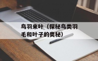 鸟羽来叶（探秘鸟类羽毛和叶子的奥秘）