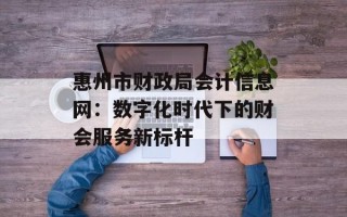 惠州市财政局会计信息网：数字化时代下的财会服务新标杆