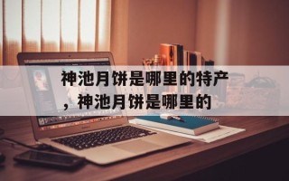 神池月饼是哪里的特产，神池月饼是哪里的