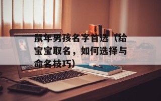 鼠年男孩名字首选（给宝宝取名，如何选择与命名技巧）