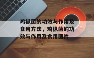 鸡枞菌的功效与作用及食用方法，鸡枞菌的功效与作用及食用图片