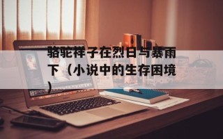 骆驼祥子在烈日与暴雨下（小说中的生存困境）