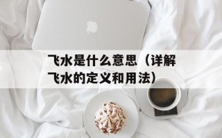 飞水是什么意思（详解飞水的定义和用法）