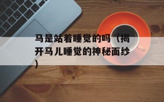 马是站着睡觉的吗（揭开马儿睡觉的神秘面纱）