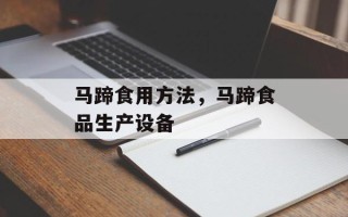 马蹄食用方法，马蹄食品生产设备