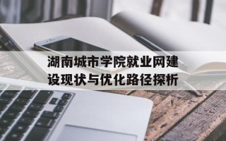 湖南城市学院就业网建设现状与优化路径探析