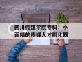 四川传媒学院专科：小而精的传媒人才孵化器