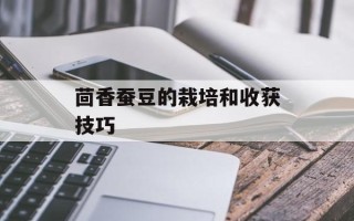 茴香蚕豆的栽培和收获技巧
