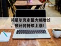 鸿星尔克市值大幅增长，预计将持续上涨！