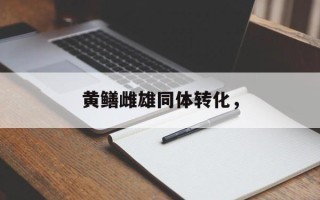 黄鳝雌雄同体转化，