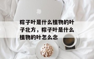 粽子叶是什么植物的叶子北方，粽子叶是什么植物的叶怎么念