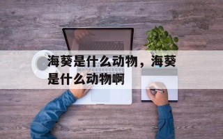 海葵是什么动物，海葵是什么动物啊