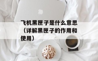 飞机黑匣子是什么意思（详解黑匣子的作用和使用）