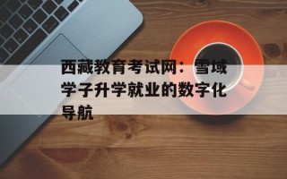 西藏教育考试网：雪域学子升学就业的数字化导航