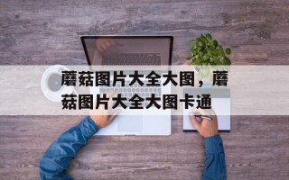 蘑菇图片大全大图，蘑菇图片大全大图卡通