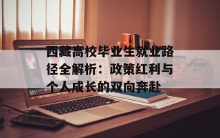 西藏高校毕业生就业路径全解析：政策红利与个人成长的双向奔赴