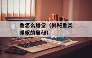鱼怎么睡觉（揭秘鱼类睡眠的奥秘）