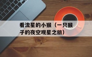 看流星的小猴（一只猴子的夜空观星之旅）