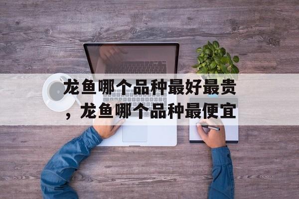 龙鱼哪个品种最好最贵，龙鱼哪个品种最便宜-第1张图片-