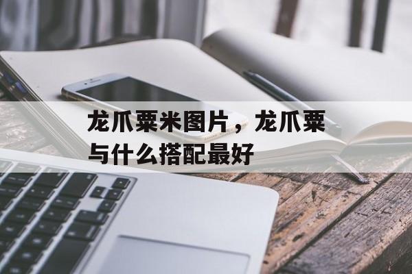 龙爪粟米图片，龙爪粟与什么搭配最好-第1张图片-