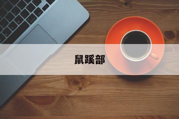 鼠蹊部-第1张图片-