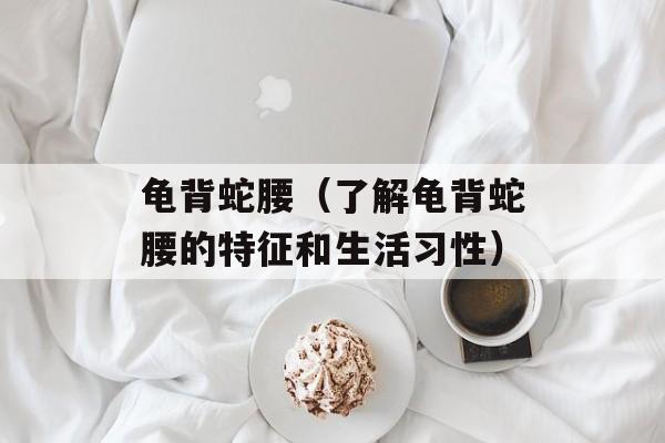 龟背蛇腰（了解龟背蛇腰的特征和生活习性）-第1张图片-