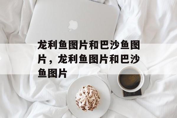 龙利鱼图片和巴沙鱼图片，龙利鱼图片和巴沙鱼图片-第1张图片-
