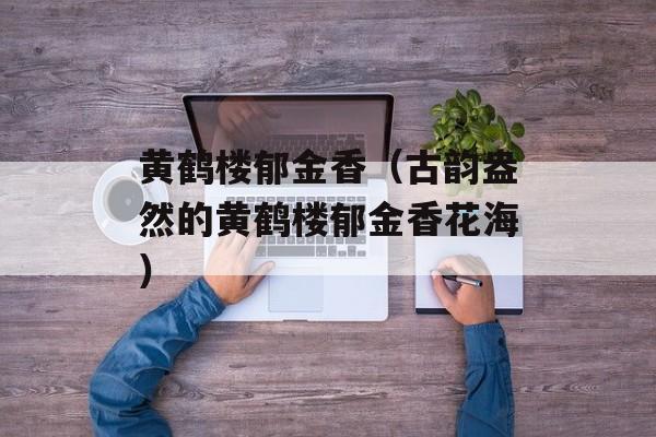 黄鹤楼郁金香（古韵盎然的黄鹤楼郁金香花海）-第1张图片-