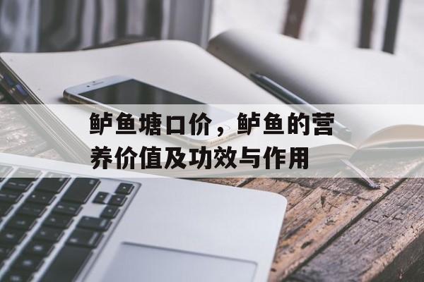 鲈鱼塘口价，鲈鱼的营养价值及功效与作用-第1张图片-