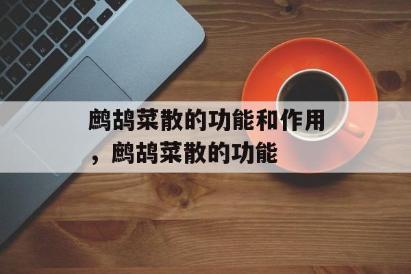 鹧鸪菜散的功能和作用，鹧鸪菜散的功能-第1张图片-