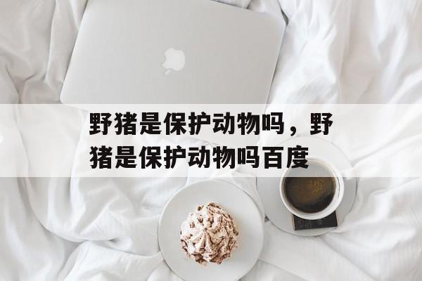 野猪是保护动物吗，野猪是保护动物吗百度-第1张图片-
