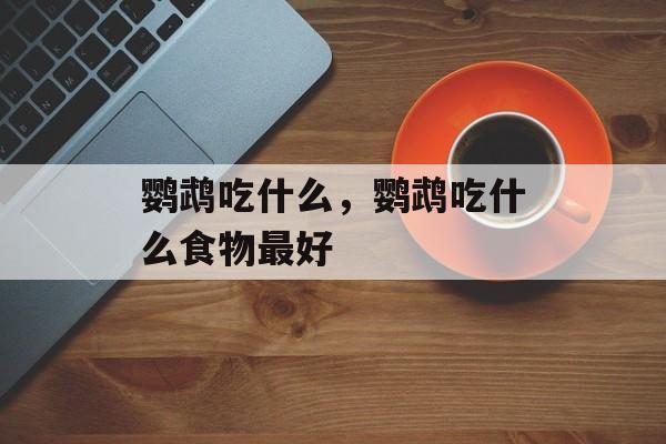 鹦鹉吃什么，鹦鹉吃什么食物最好-第1张图片-