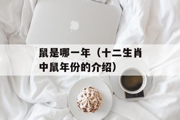 鼠是哪一年（十二生肖中鼠年份的介绍）-第1张图片-